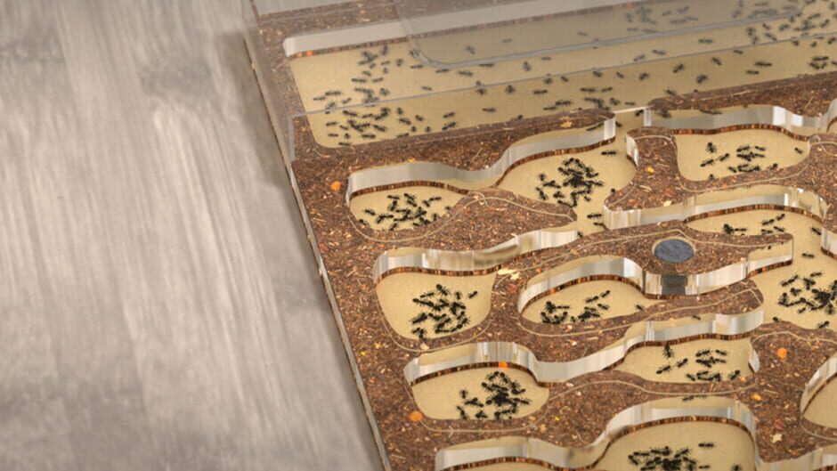 Ant Farm Simulator