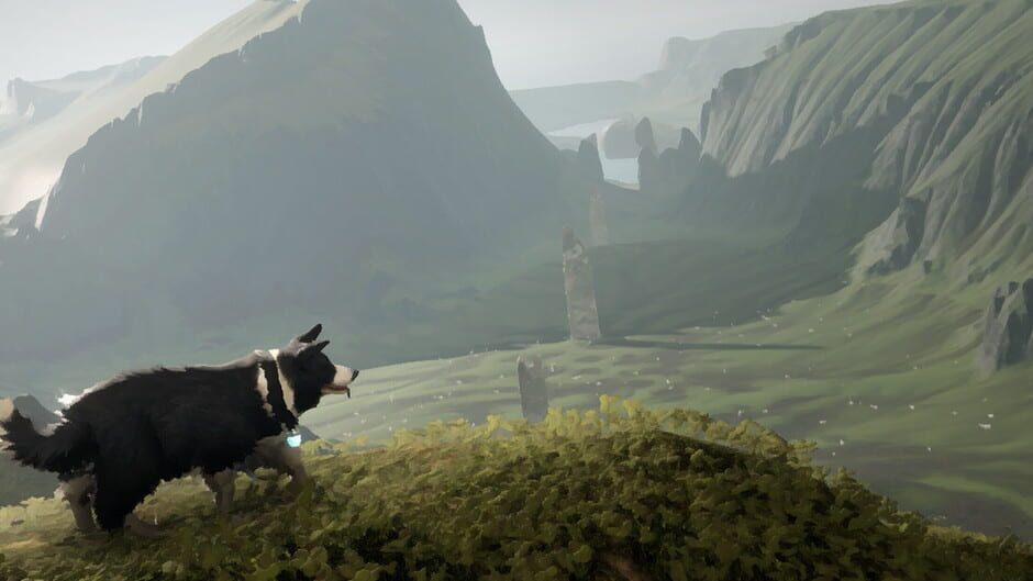 The Free Shepherd